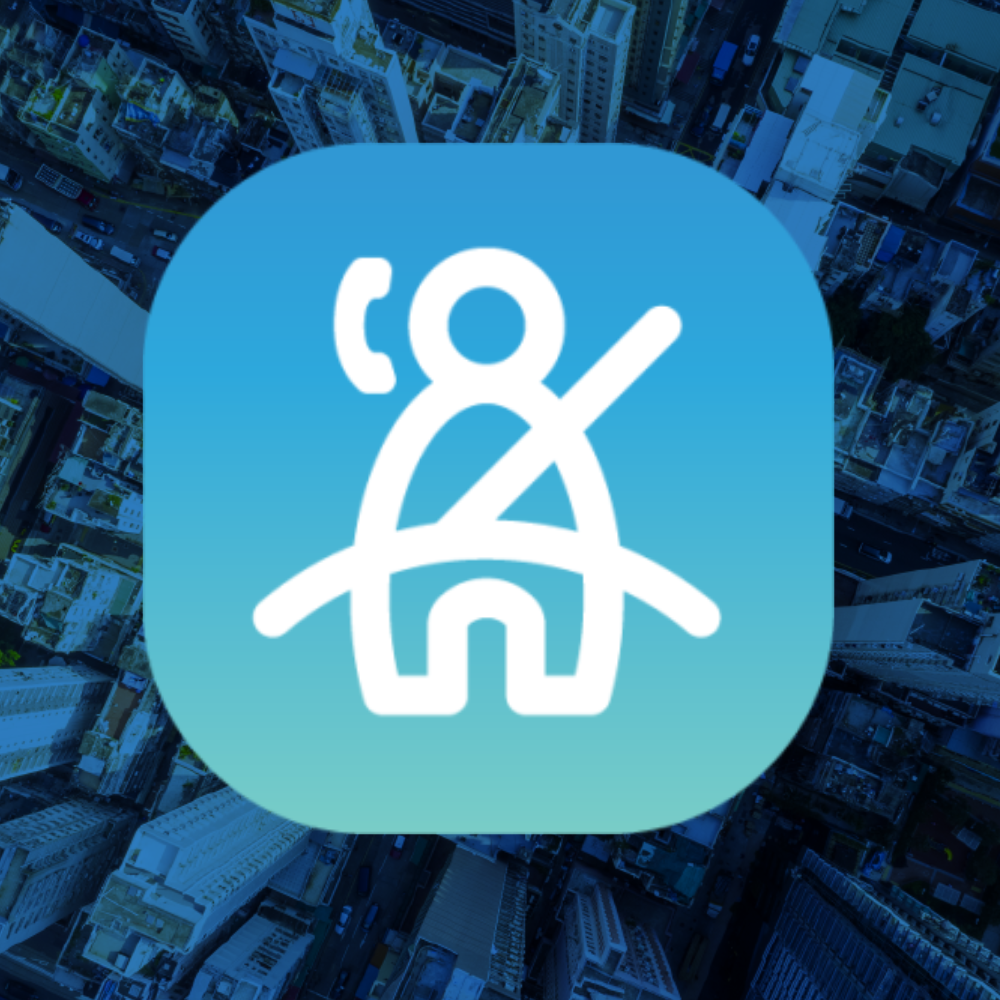 Phone & Seatbelt Detection